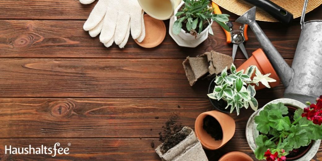 Gartentipp: Pflanzenpflege