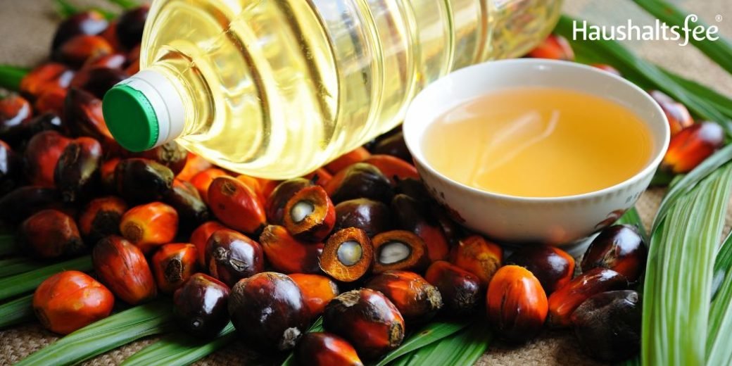 Speiseöle für dich Küche: Olivenöl