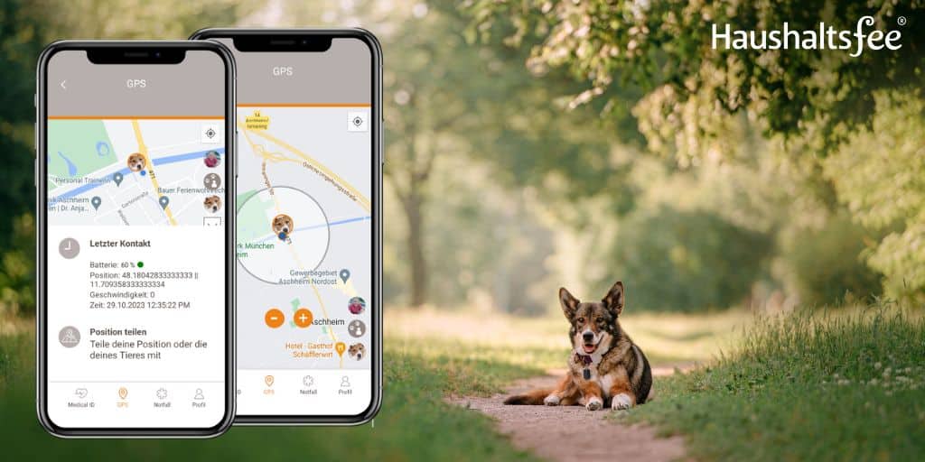 GPS-Tracker für Haustiere: Freiheit und Sicherheit für dein Tier